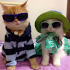 Meet your Posher, Emma